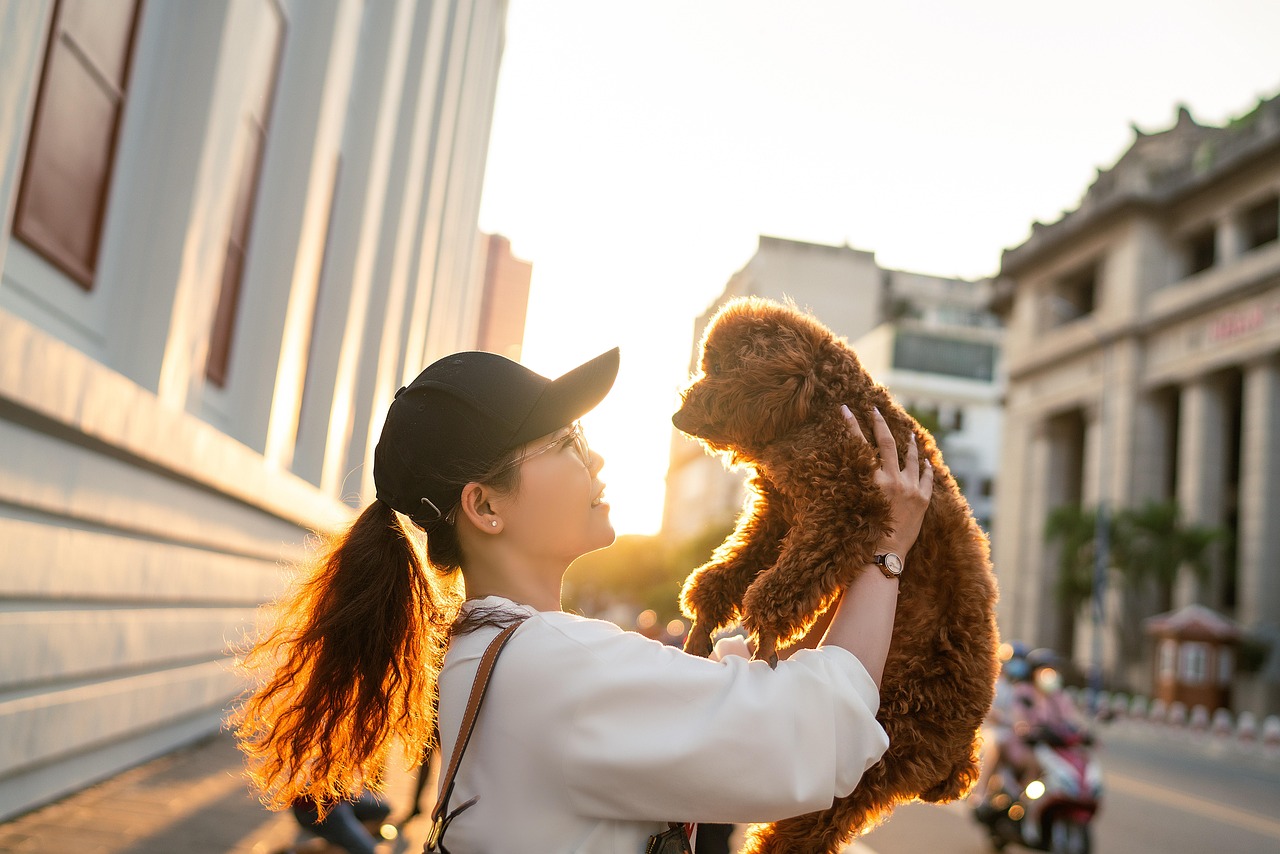 A woman in a black cap lifting a brown poodle on a city street at sunset